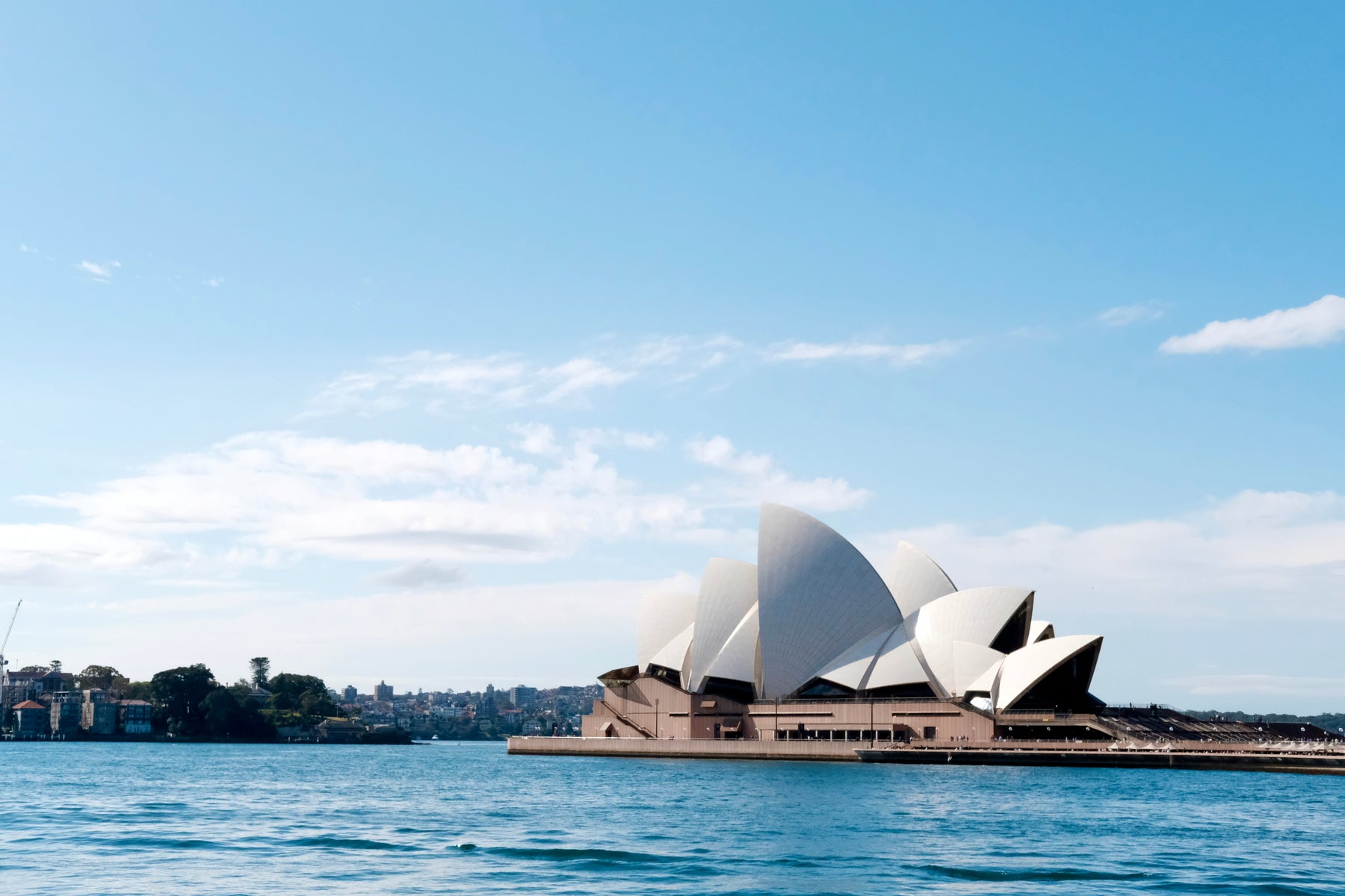 芝生の上の小さな翼ーSydney, Australia
